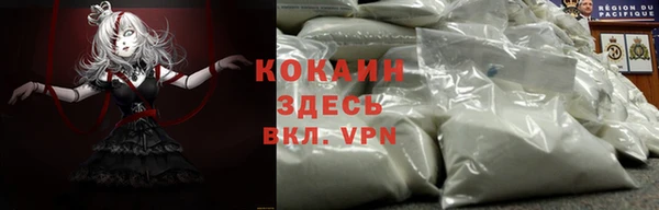 мдпв Вязьма