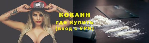 мдпв Вязьма