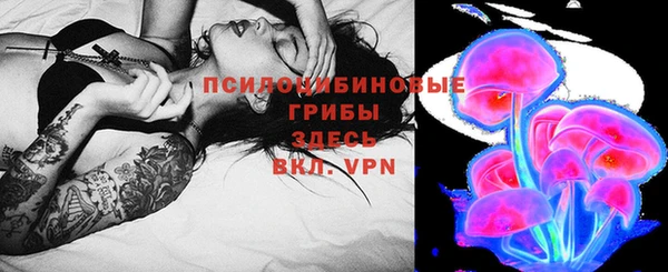 мдпв Вязьма