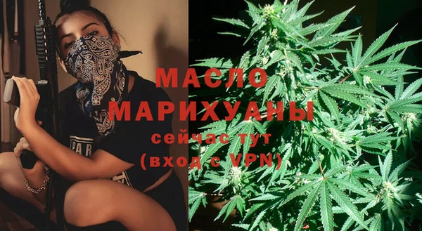 мдпв Вязьма