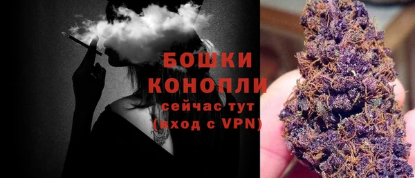 мдпв Вязьма