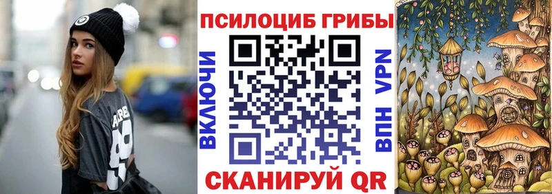 Купить где  Корсаков  Галлюциногенные грибы Cubensis 